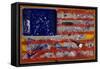 American Paint-Roderick E. Stevens-Framed Stretched Canvas