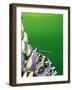 American Painted Lady on a Lupine-Darrell Gulin-Framed Photographic Print