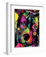 American Pit Bull-Mark Ashkenazi-Framed Giclee Print