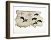 American Plains Indians on a Buffalo Hunt, 1898-Washakie-Framed Giclee Print
