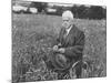American Poet, Robert Frost Standing in Meadow During Visit to the Gloucester Area of England-Howard Sochurek-Mounted Premium Photographic Print