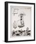 American Politics 51, Suffering the Ague (ink on paper)-Ralph Steadman-Framed Giclee Print