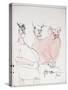 American Politics 52, Pinkos (ink on paper)-Ralph Steadman-Stretched Canvas