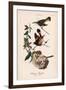 American Redstart, Vintage Bird, Plate 43-Piddix-Framed Art Print