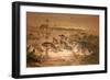 American Rheas (Rhea Americana), C.1851-76-Joseph Wolf-Framed Giclee Print