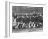 American Rhodes Scholar Peter Dawkins Playing Rugby with Oxford Univ. Students-null-Framed Photographic Print