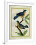 American Robin and the Female-Georges-Louis Buffon-Framed Giclee Print