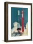 American Rocket Blasting into Space-Bill Mitchell-Framed Photographic Print