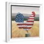 American Rooster-Wellington Studio-Framed Art Print