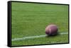 American Rugby Ball on the Grass-Olexandr-Framed Stretched Canvas