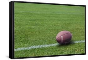 American Rugby Ball on the Grass-Olexandr-Framed Stretched Canvas