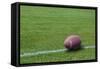 American Rugby Ball on the Grass-Olexandr-Framed Stretched Canvas