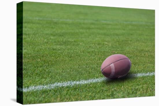 American Rugby Ball on the Grass-Olexandr-Stretched Canvas