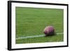 American Rugby Ball on the Grass-Olexandr-Framed Photographic Print