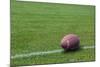 American Rugby Ball on the Grass-Olexandr-Mounted Photographic Print