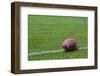 American Rugby Ball on the Grass-Olexandr-Framed Photographic Print