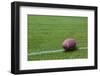 American Rugby Ball on the Grass-Olexandr-Framed Photographic Print