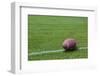 American Rugby Ball on the Grass-Olexandr-Framed Photographic Print