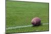 American Rugby Ball on the Grass-Olexandr-Mounted Photographic Print