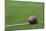 American Rugby Ball on the Grass-Olexandr-Mounted Photographic Print