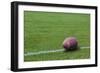 American Rugby Ball on the Grass-Olexandr-Framed Photographic Print