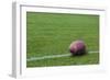 American Rugby Ball on the Grass-Olexandr-Framed Photographic Print