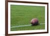 American Rugby Ball on the Grass-Olexandr-Framed Photographic Print