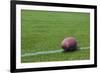 American Rugby Ball on the Grass-Olexandr-Framed Photographic Print