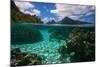 American Samoa, Manu'A Islands Archipelago, Ofu Island-Andrea Pozzi-Mounted Photographic Print