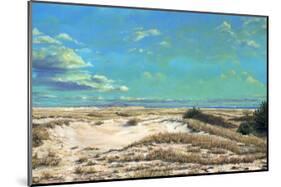 American Sands-Doug Zider-Mounted Art Print