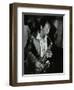 American Saxophonist Ornette Coleman Playing at the Bracknell Jazz Festival, Berkshire, 1978-Denis Williams-Framed Photographic Print