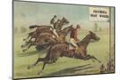 Wood Mount
