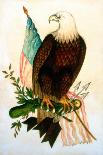 Bald Eagle with Flag-American School-Giclee Print