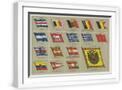 White Frame