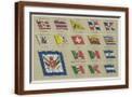 Brown Frame