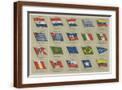 Brown Frame