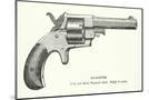 Wood Mount