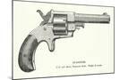 Wood Mount