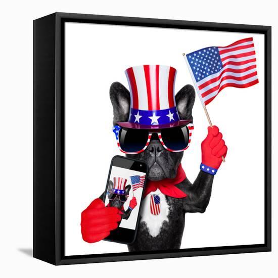 American Selfie Dog-Javier Brosch-Framed Stretched Canvas