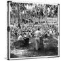 American Servicemen Celebrating Christmas on Guadalcanal During Religious Services-Ralph Morse-Stretched Canvas