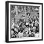 American Servicemen, Celebrating Christmas on Guadalcanal-Ralph Morse-Framed Photographic Print