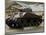 American Sherman Tank, Omaha Beach Museum, Normandy, France-David Hughes-Mounted Photographic Print