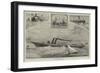 American Ship-Building Novelties-null-Framed Giclee Print