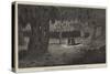 American Sketches, the Mammoth Cave of Kentucky, the Gothic Gallery-null-Stretched Canvas