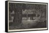 American Sketches, the Mammoth Cave of Kentucky, the Gothic Gallery-null-Framed Stretched Canvas