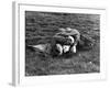 American Soldier and English Girlfriend Blissfully Embracing on Lawn in Hyde Park-Ralph Morse-Framed Photographic Print