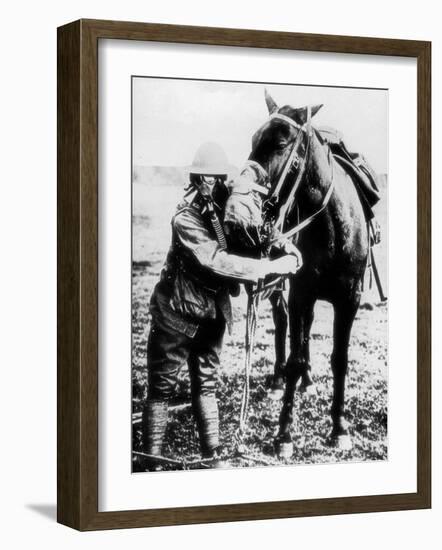 American Soldier and Horse Demonstrating Use of Gas Masks, During WWI-null-Framed Photographic Print