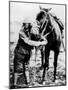 American Soldier and Horse Demonstrating Use of Gas Masks, During WWI-null-Mounted Photographic Print