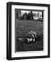 American Soldier Kissing English Girlfriend on Lawn in Hyde Park, Favorite Haunts of US Troops-Ralph Morse-Framed Photographic Print