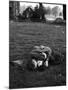 American Soldier Kissing English Girlfriend on Lawn in Hyde Park, Favorite Haunts of US Troops-Ralph Morse-Mounted Photographic Print